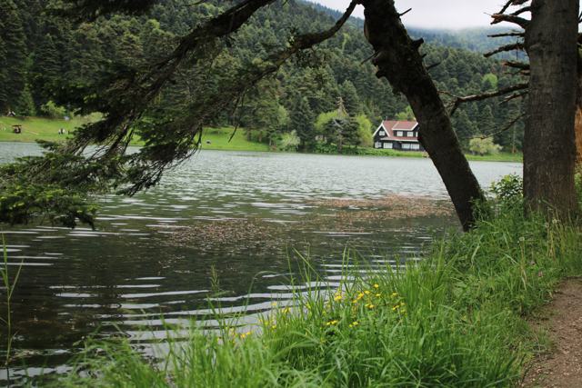 Bolu fotoğrafı